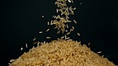 Rice falling, slow motion