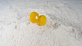 Eggs falling into flour, slow motion