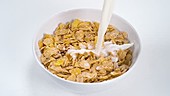 Milk pouring on cereal, slow motion