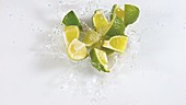 Lime segments in water, slow motion