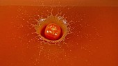 Tomato falling in soup, slow motion