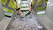 Sorting plastic at a recycling plant