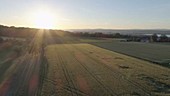Sunset over fields, drone footage