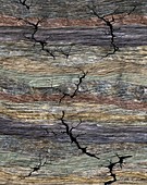 Fractures in Earth's crust, illustration