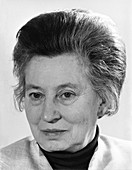 Elisabeth Schwarzhaupt, German politician