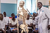Medical students studying anatomy
