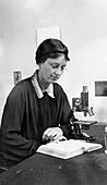 Kathleen Mary Drew-Baker, British phycologist