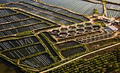 Aquaculture pens, Algarve, Portugal, aerial photograph