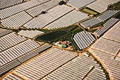 Greenhouses, Huelva, Spain, aerial photograph