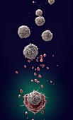 T-cell attacking cancer cell, illustration
