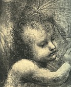 Head of an infant, illustration