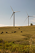 Wind turbines, Colorado, USA