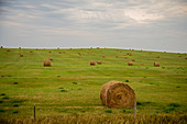 Hay bales, South Dakota, USA