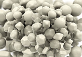 Zinc oxide nanoparticles, illustration