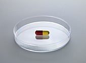Pharmaceutical research, conceptual image