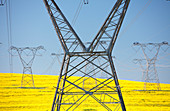 Electricity pylons