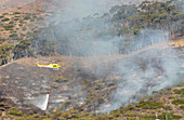 Helicopter dropping water on wild fire