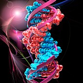 DNA molecule, illustration