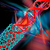 DNA molecule and nanotube, illustration
