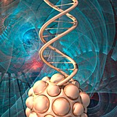 DNA and nanomodule, illustration