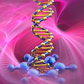 DNA damage, illustration