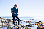 A chef in search of sea algae and sea urchins