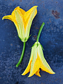 Two courgette flowers