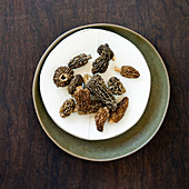 Morels on a white plate