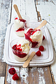 Frozen yoghurt with warm raspberries