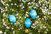 Blaue Eier mit Tafelfarbe bemalt und verschieden beschriftet auf Frühlingswiese liegend