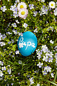 Blaues Ei mit Tafelfarbe bemalt und mit Schriftzug 'Papa' auf Frühlingswiese liegend