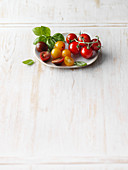 Colourful cherry tomatoes and fresh basil leaves