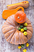 Hokkaido pumpkin, Muscade de Provence, butternut squash and patty pan squash