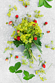 A bunch of wild strawberries with lady's mantle on a metal surface