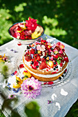 Sommerlicher Erdbeer-Biskuit-Kuchen