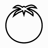 Vine tomato, black-and-white illustration