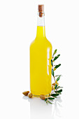 Olivenöl in Glasflasche vor weißem Hintergrund