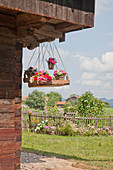 Colourful flowers in baskets in wooden crate hung from wooden gable of farmhouse