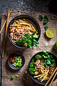 Hot and sour coconut broth with noodles, vegetables and tofu pieces