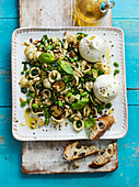 A pasta salad with peas, burrata and pine nuts