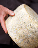 A man holding a wheel of blue cheese (Milawa, Victoria, Australia)