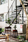 Bonsaibäume auf Hockern und Bänken in einem Innenhof