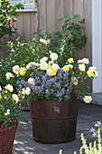 Terrasse mit gelben Rosen