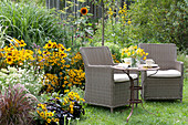 Seating place at the yellow late summer flower bed