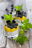 Mango mousse with chia seeds and blueberry
