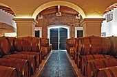 The wine cellar at the Quinta Dona Maria winery, Alentejo, Portugal