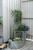 Miniature pond in zinc tub and zinc bucket used as planter