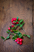 Sprigs of lingonberries on a wooden surface