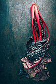 Red stalked Swiss chard