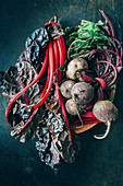Beetroot and red-stemmed Swiss chard